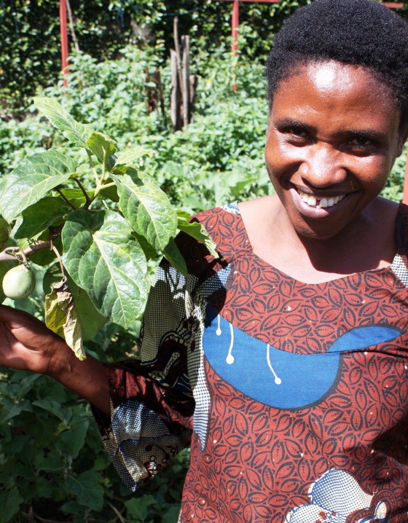 Francine with a tamarillo tree