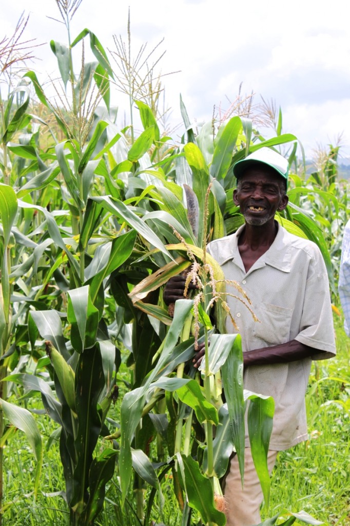 Agricultural Abundance for Augustin